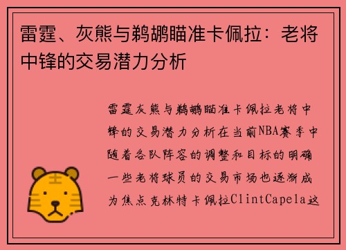 雷霆、灰熊与鹈鹕瞄准卡佩拉：老将中锋的交易潜力分析