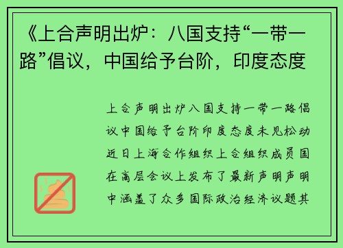《上合声明出炉：八国支持“一带一路”倡议，中国给予台阶，印度态度未见松动》
